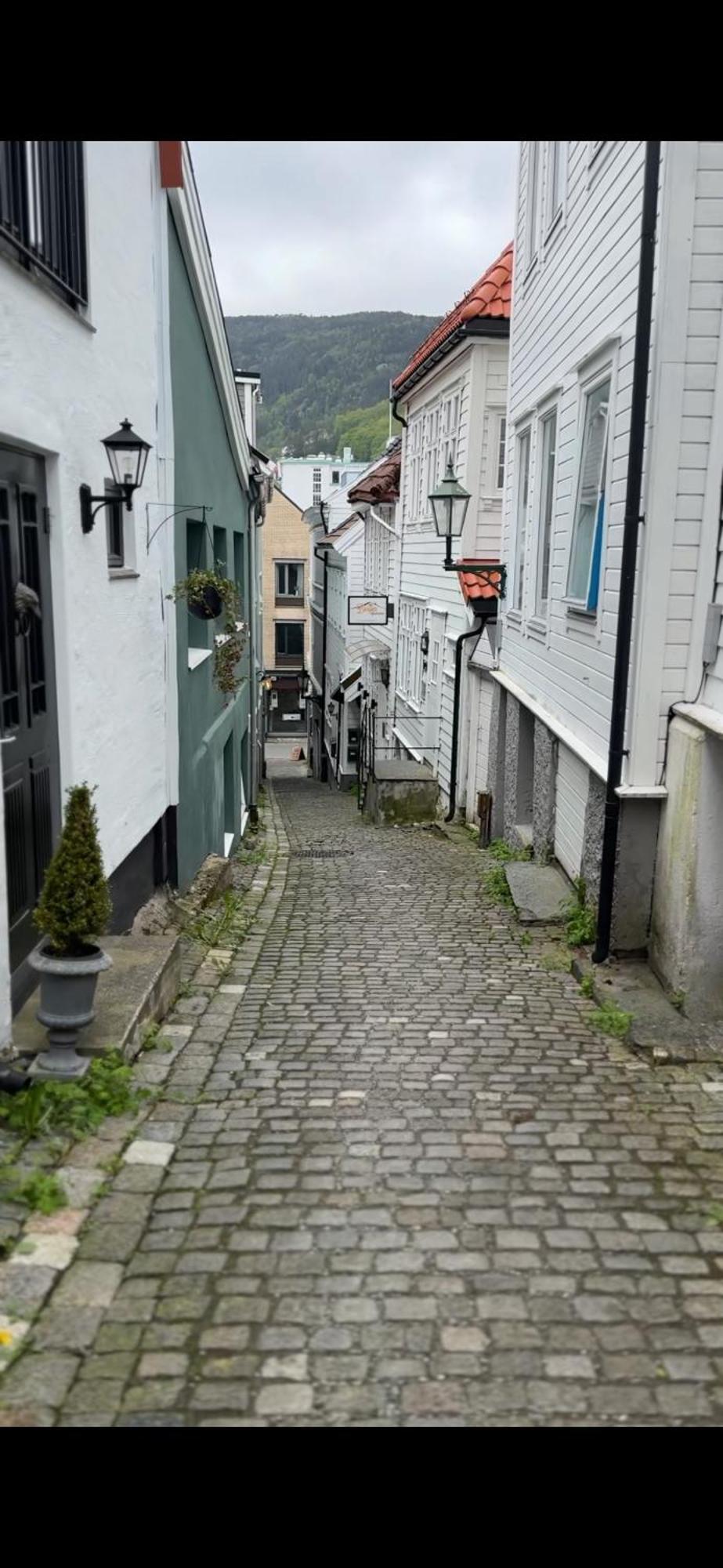The Dreamhouse - Inner City Center - Old Town Bergen Kültér fotó